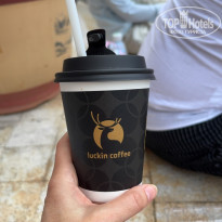 фото из отзыва ID 2744822