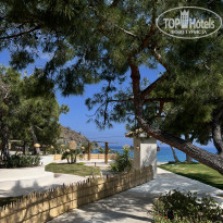 фото из отзыва ID 2744833