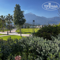 фото из отзыва ID 2744833