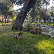 фото из отзыва ID 2744833