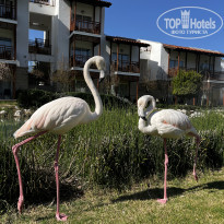 фото из отзыва ID 2744833