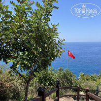 фото из отзыва ID 2744841