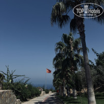 фото из отзыва ID 2744841