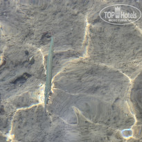 фото из отзыва ID 2744877