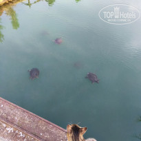 фото из отзыва ID 2744869