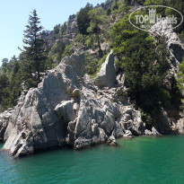 фото из отзыва ID 2744921