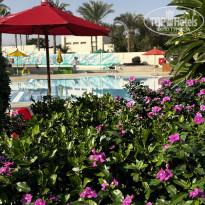 фото из отзыва ID 2744960