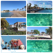 фото из отзыва ID 2744983