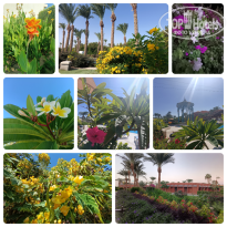 фото из отзыва ID 2744983