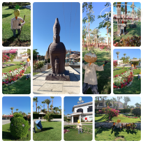 фото из отзыва ID 2744983