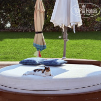 фото из отзыва ID 2745024