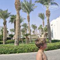 фото из отзыва ID 2745027