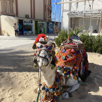 фото из отзыва ID 2745025