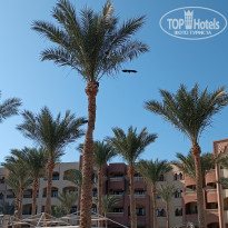 фото из отзыва ID 2745025