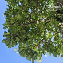 фото из отзыва ID 2745081