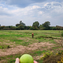 фото из отзыва ID 2745098