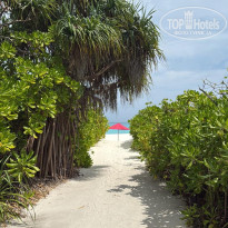 фото из отзыва ID 2745103