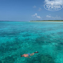 фото из отзыва ID 2745103