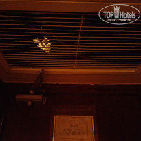 фото из отзыва ID 2745104