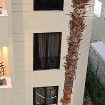 фото из отзыва ID 2745104