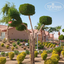 фото из отзыва ID 2745138