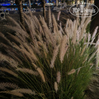 фото из отзыва ID 2745177