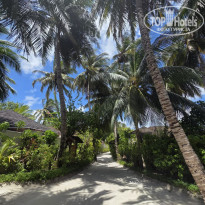 фото из отзыва ID 2745215