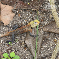 фото из отзыва ID 2745215