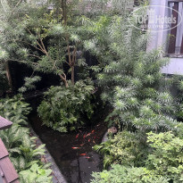 фото из отзыва ID 2745222