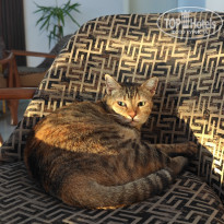 фото из отзыва ID 2745246