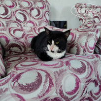 фото из отзыва ID 2745246