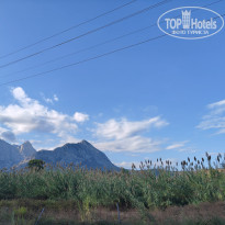 фото из отзыва ID 2745246