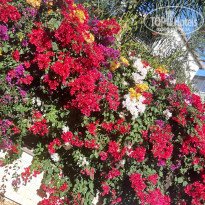 фото из отзыва ID 2745245