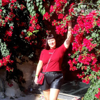 фото из отзыва ID 2745245