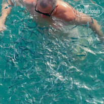 фото из отзыва ID 2745252