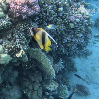 фото из отзыва ID 2745015