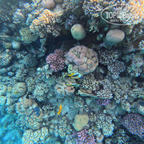 фото из отзыва ID 2745015