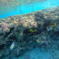 фото из отзыва ID 2745015