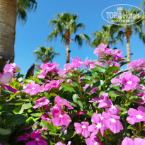 фото из отзыва ID 2745015