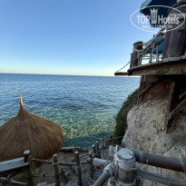 фото из отзыва ID 2745307