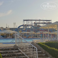 фото из отзыва ID 2745298