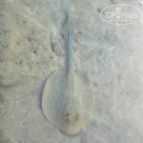 фото из отзыва ID 2745343