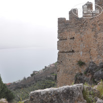 фото из отзыва ID 2745316