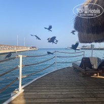 фото из отзыва ID 2745363