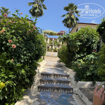 фото из отзыва ID 2745364