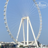 фото из отзыва ID 2744736