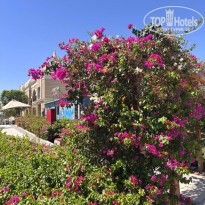 фото из отзыва ID 2745381