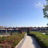 фото из отзыва ID 2745381