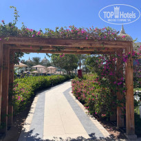 фото из отзыва ID 2745381