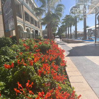 фото из отзыва ID 2745381